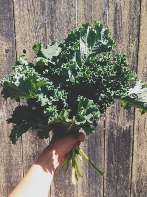 Processed with VSCOcam with c3 preset